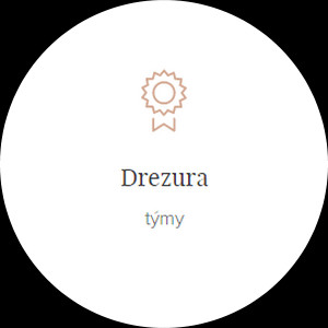 Drezuratymy