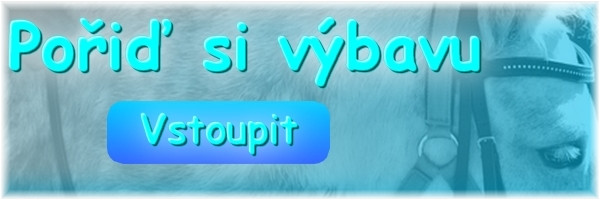 vybava