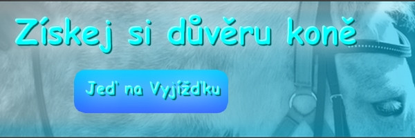 vyjizdka