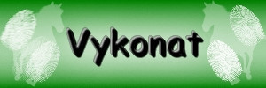 Vykonat