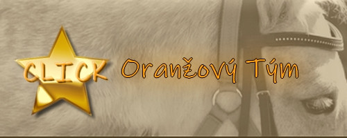 Oranžový tým