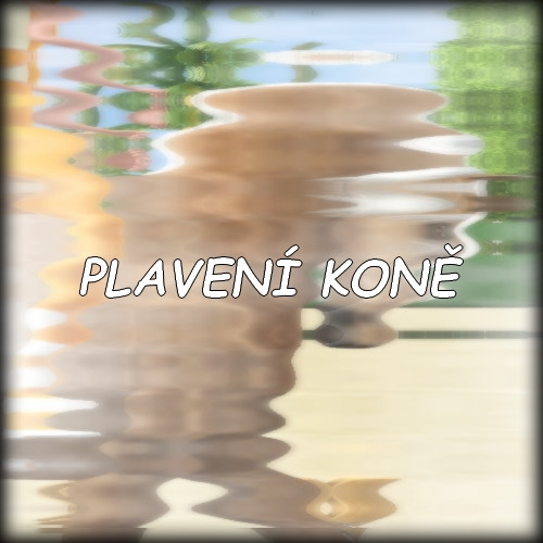 plaven kon