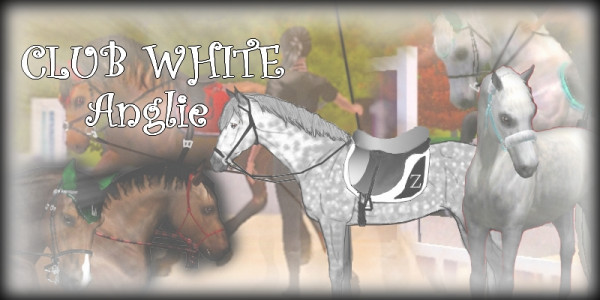 clubWHITE