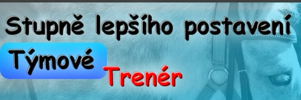 slptrener