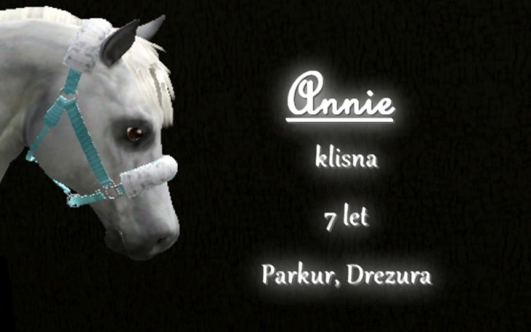 Annie profile
