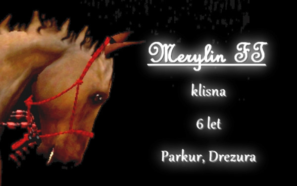 merylin profile