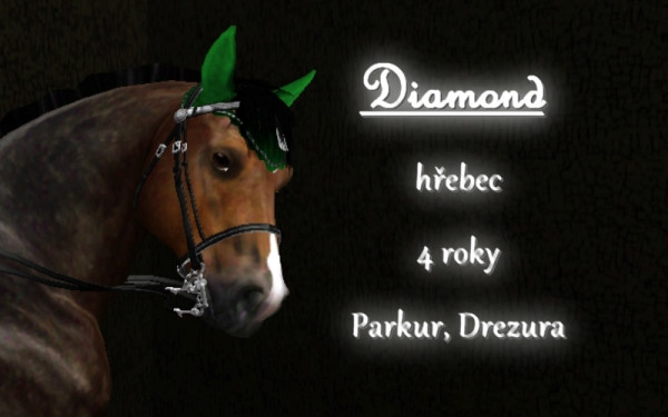 Diamond profile