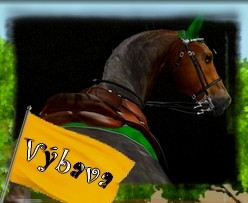 Vbava