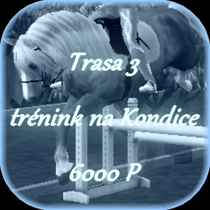 Trasa3