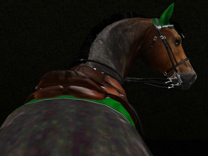 Screenshot-19