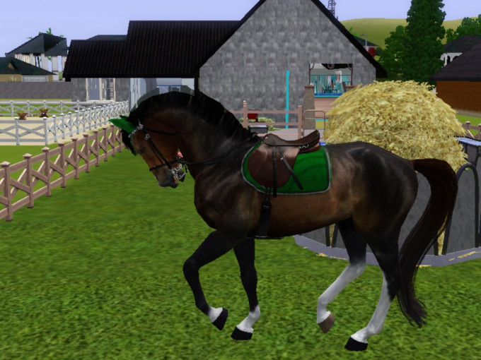Screenshot-23
