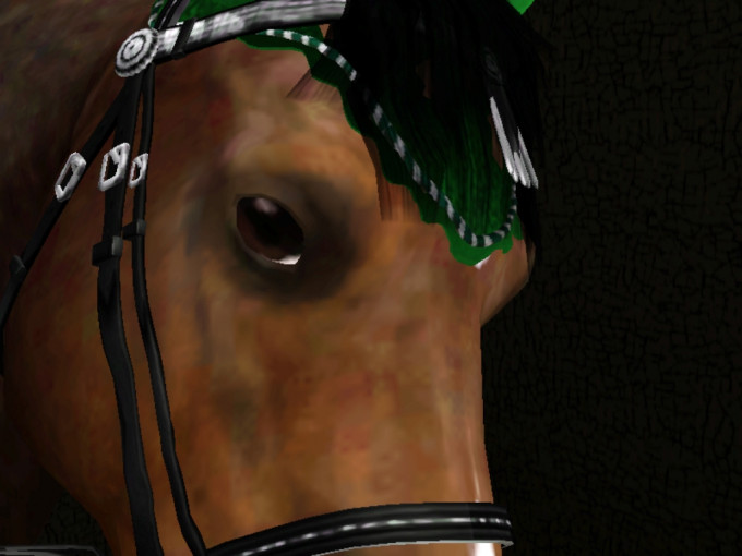 Screenshot-15