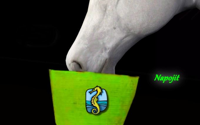 Bucky napojit