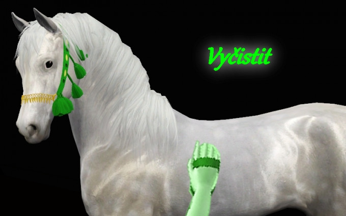 Bucky vyistit