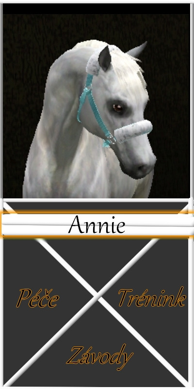 Annie box