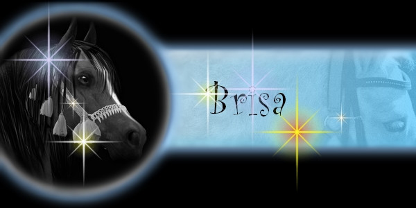 Brisa