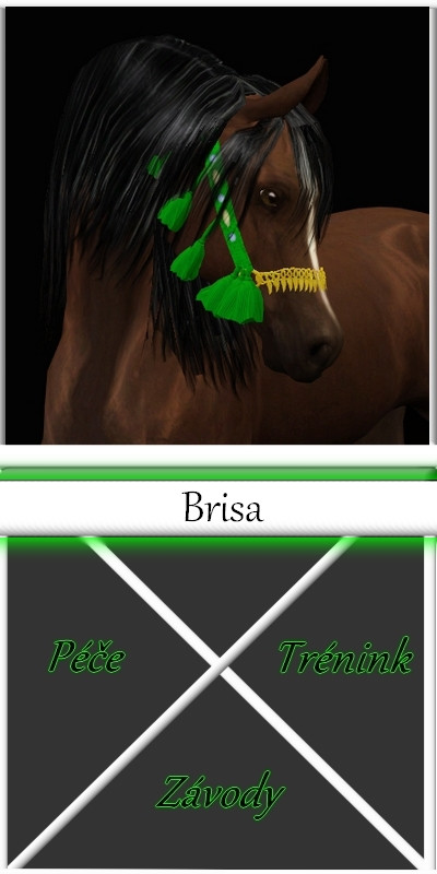 Brisa box