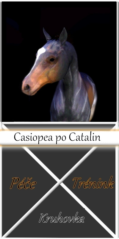 Casiopea kidsbox