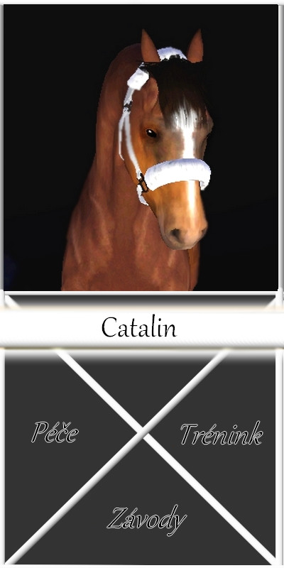 Catalin box