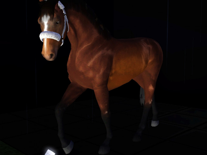 Screenshot-504