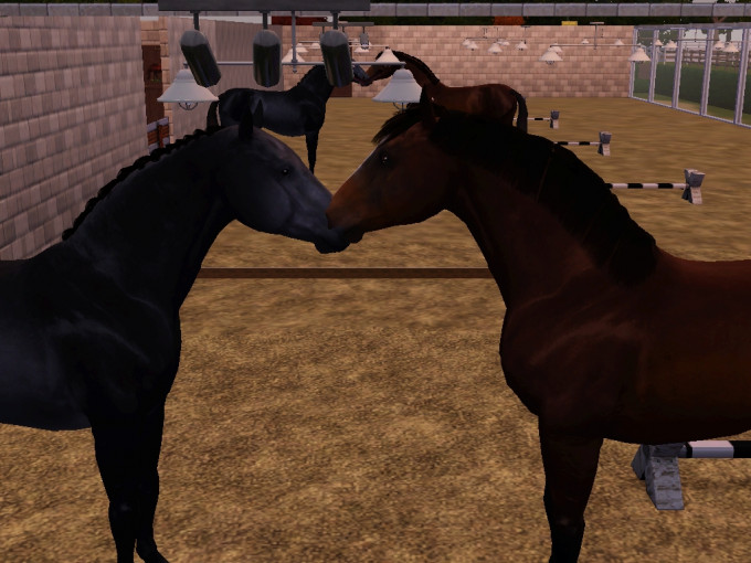 Screenshot-382