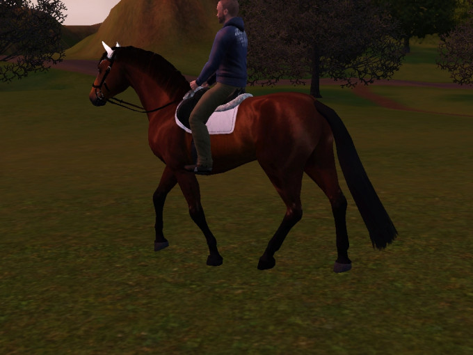 Screenshot-499