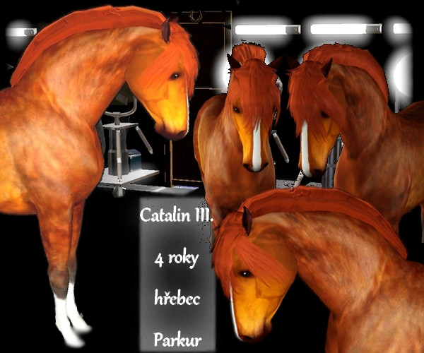 Catalin III
