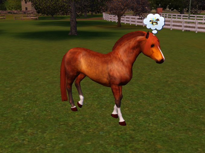 Screenshot-475
