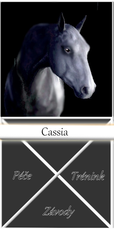 Cassia box
