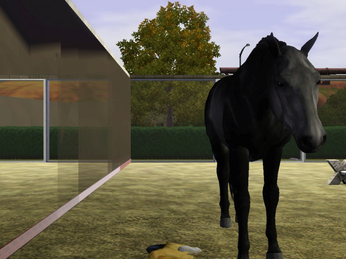 Screenshot-342