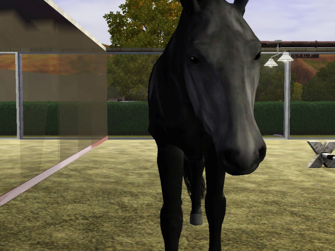 Screenshot-343