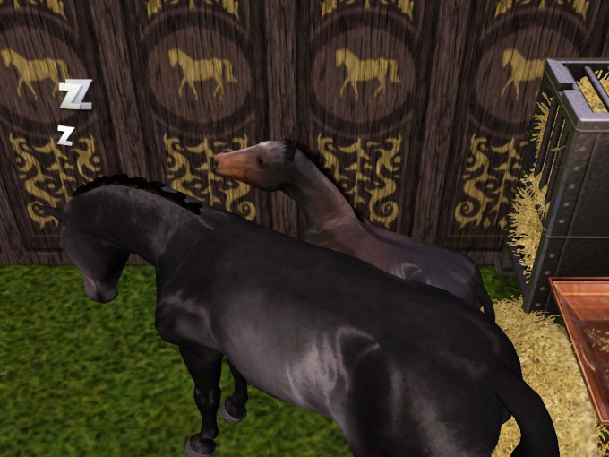 Screenshot-449