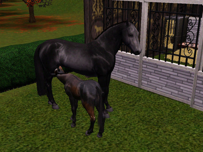 Screenshot-463