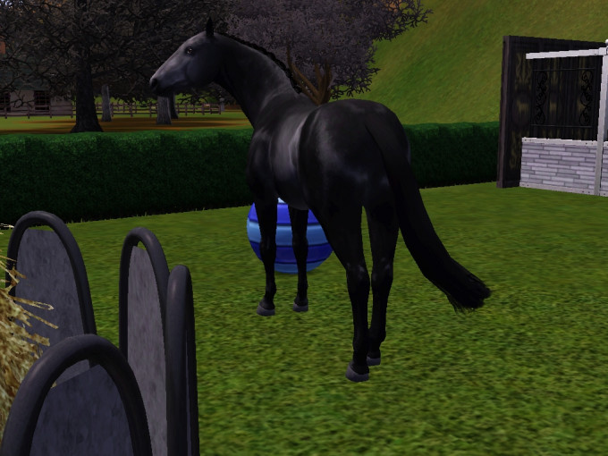 Screenshot-516