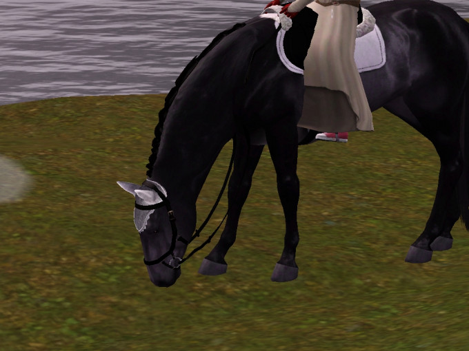 Screenshot-371