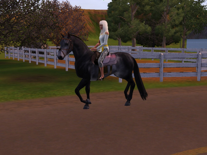 Screenshot-479