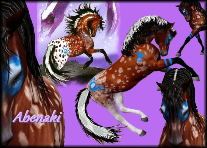 Abenaki