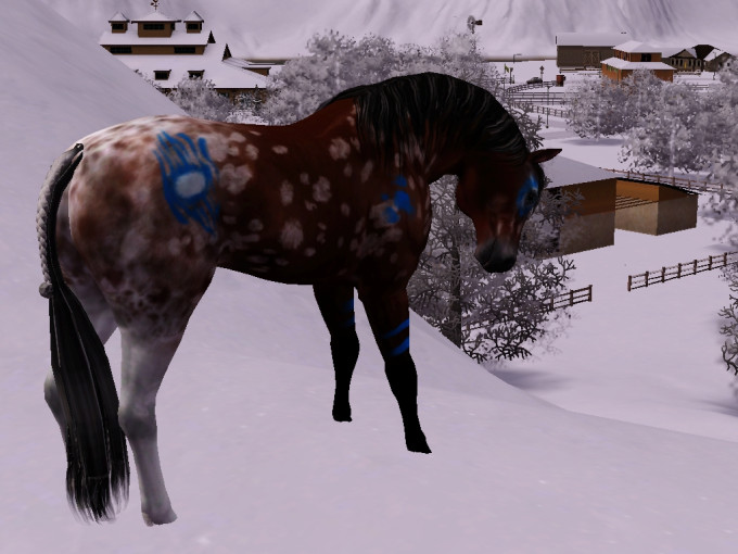 Screenshot-895