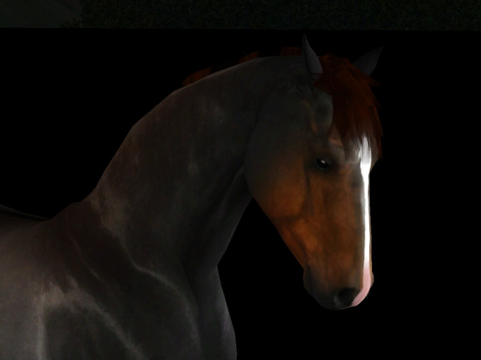 Screenshot-637