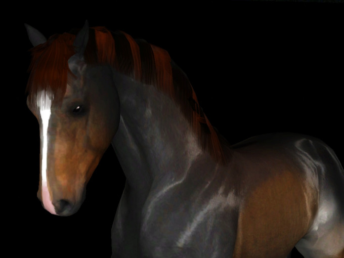 Screenshot-636
