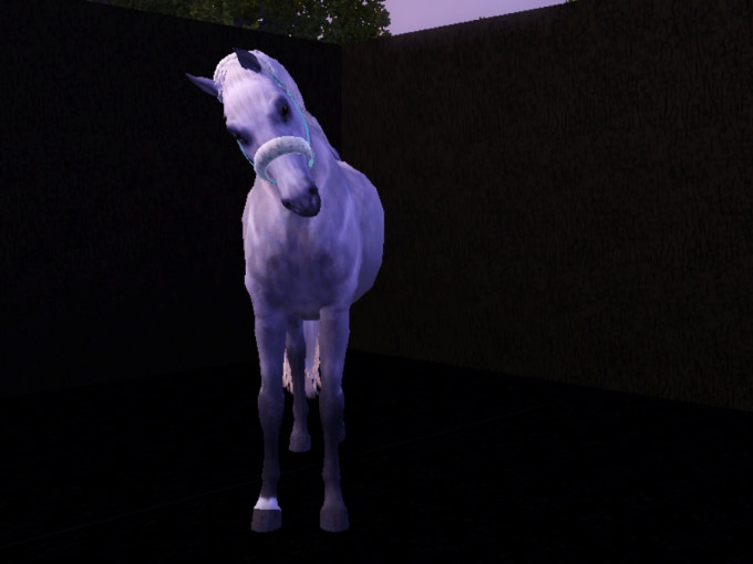 Screenshot-60