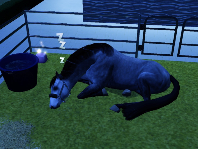 Screenshot-1097